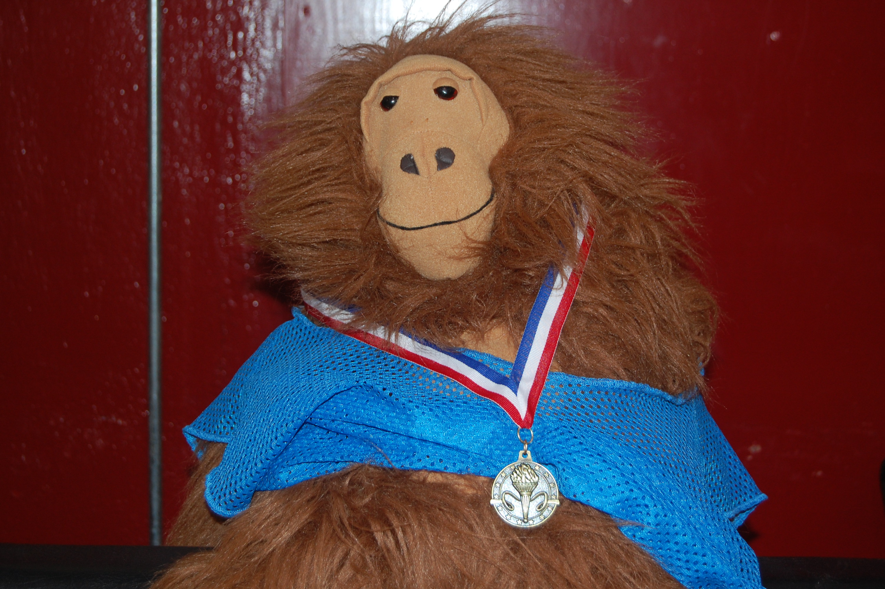 Virgil ready for the Olympics